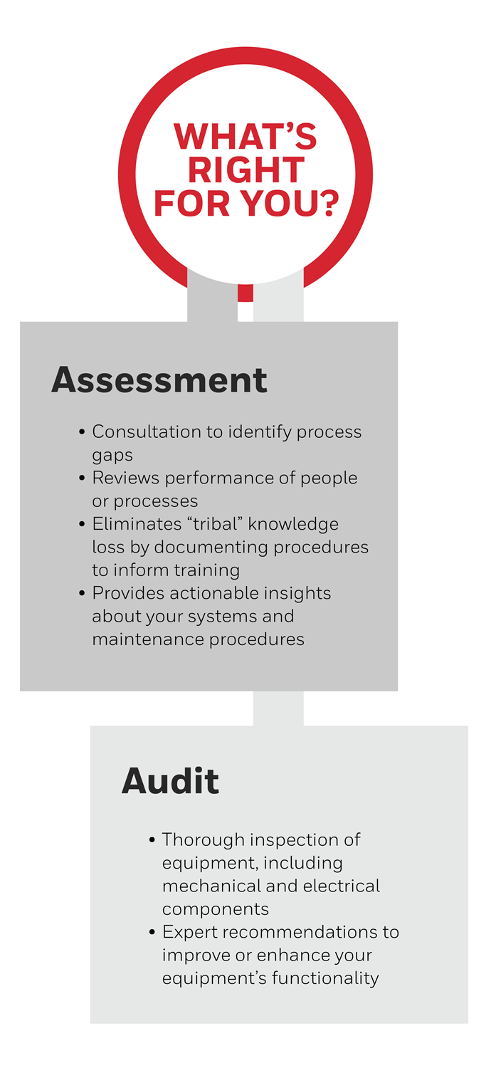 Diagram depicting the main features for audits and assessments.